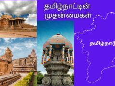 தமிழ்நாட்டின் முதன்மைகள்