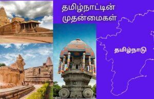 தமிழ்நாட்டின் முதன்மைகள்